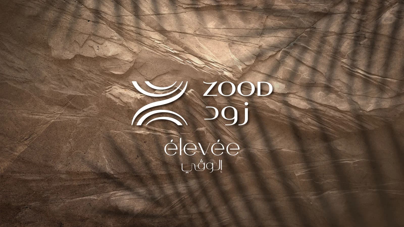 Élevée supplied brochure cover